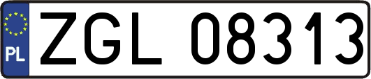 ZGL08313
