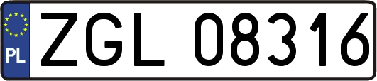 ZGL08316