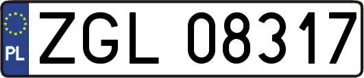 ZGL08317