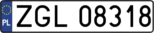ZGL08318