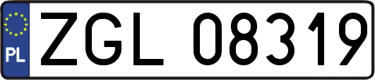 ZGL08319