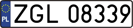 ZGL08339