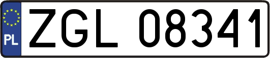 ZGL08341