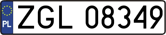 ZGL08349
