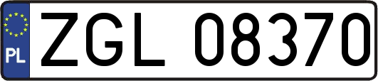 ZGL08370