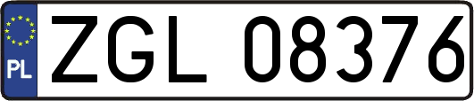 ZGL08376