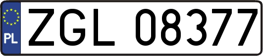 ZGL08377