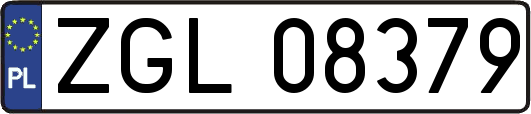 ZGL08379