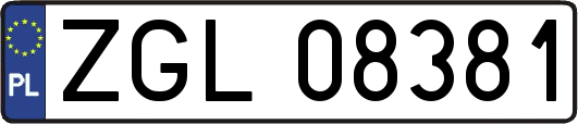 ZGL08381