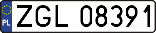 ZGL08391