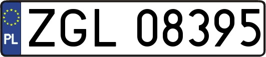 ZGL08395