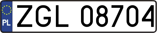 ZGL08704