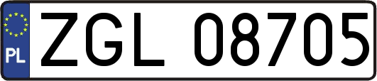 ZGL08705