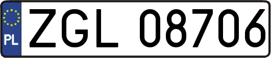 ZGL08706