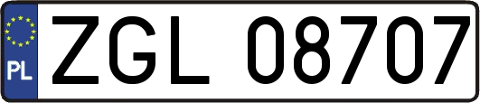 ZGL08707