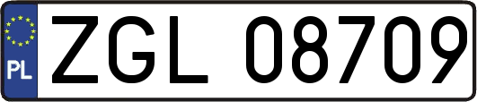 ZGL08709