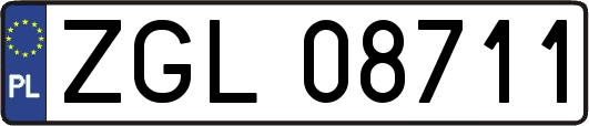 ZGL08711