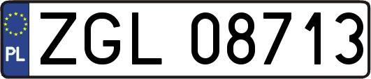 ZGL08713