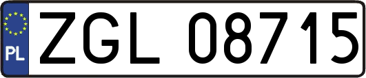 ZGL08715