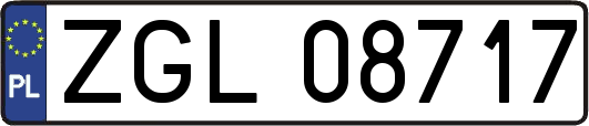ZGL08717