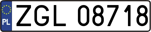 ZGL08718