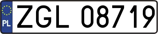 ZGL08719