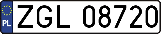 ZGL08720