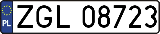 ZGL08723