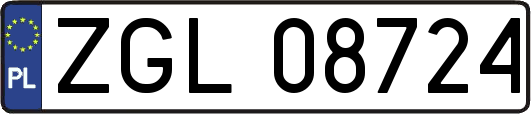 ZGL08724