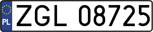 ZGL08725