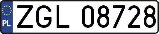ZGL08728