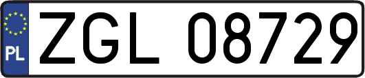 ZGL08729