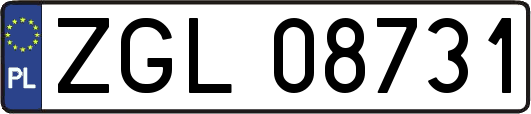 ZGL08731
