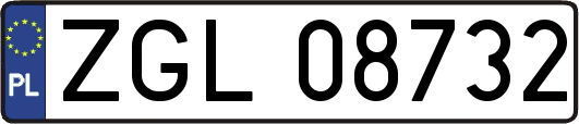 ZGL08732