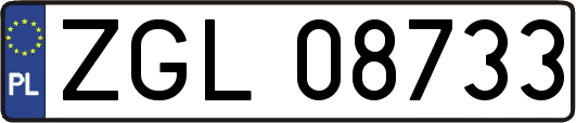 ZGL08733