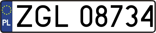 ZGL08734