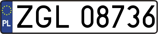 ZGL08736