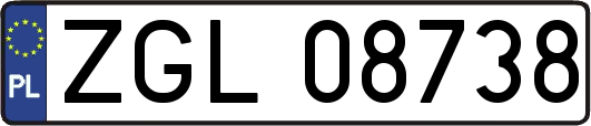 ZGL08738