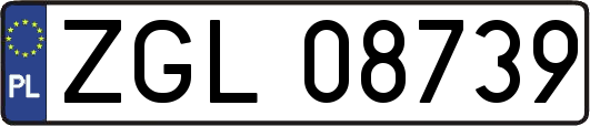 ZGL08739