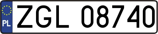 ZGL08740