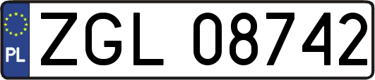 ZGL08742