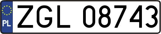 ZGL08743