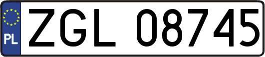 ZGL08745