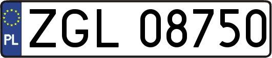 ZGL08750