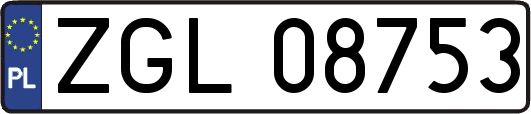 ZGL08753