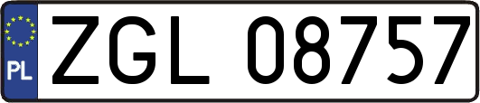 ZGL08757