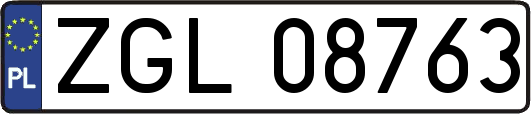 ZGL08763