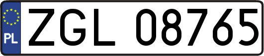 ZGL08765