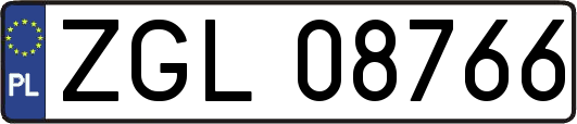 ZGL08766