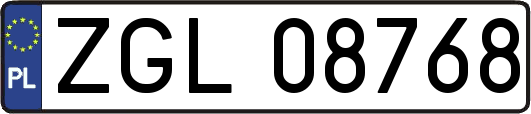 ZGL08768